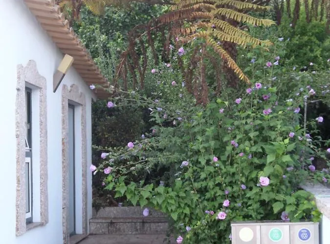 Casal De S.romao Do Meio * Guimarães